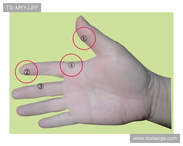 从零基础到高手之路乒乓球配合技巧全解析与实战训练指南