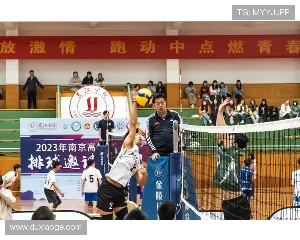 南京排球队引领最新排球意识TOP10榜单展现卓越实力与团队精神